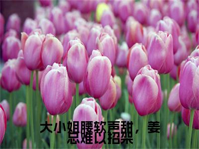 大小姐腰软声甜，姜总难以招架小说（姜淮正相绮颂）前文+全本完整阅读预售作品抢先看
