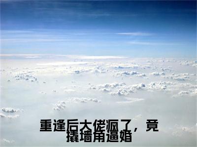 重逢后大佬疯了，竟撬墙角逼婚小说(傅璟忱禾念安)序章+全章阅读（重逢后大佬疯了，竟撬墙角逼婚）最新章节