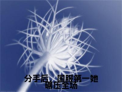 热文推荐邱漾翟京闻附加(邱漾翟京闻)分手后，国服第一她碾压全场：结局+番外免费品鉴