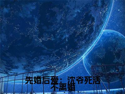 （沈宴苏墨）沈宴苏墨小说(先婚后爱：沈爷死活不离婚)整书在线无广告高口碑小说