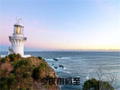 新章速递项齐晟安佩是什么小说(今夜雨将至)完本阅读无广告（项齐晟安佩）