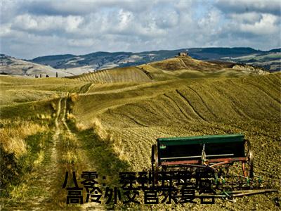 黎书禾续集起点章节+全书阅读（八零：穿到五年后，高冷外交官求复合）书荒必看