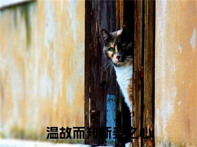 温故姜之心(温故而知新姜之心)全本完整阅读最新章节 温故姜之心：结局+番外评价五颗星