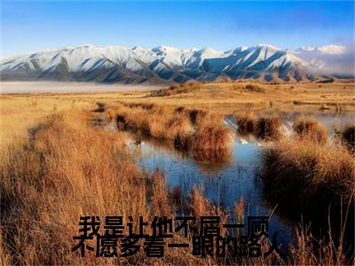 前传_笔趣阁（我是让他不屑一顾，不愿多看一眼的路人）我是让他不屑一顾，不愿多看一眼的路人小说(安喻意商晋深)章节在线阅读