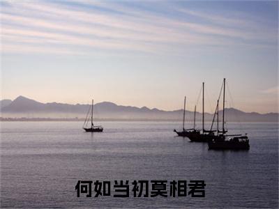 何如当初莫相君叫什么(纪薄琛纪辞书)小说全集阅读无广告（纪薄琛纪辞书）番外+续集