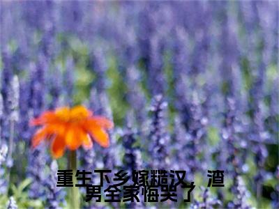 重生下乡嫁糙汉，渣男全家悔哭了附加完整在线阅读（师明凯颜惜雪）最近更新列表