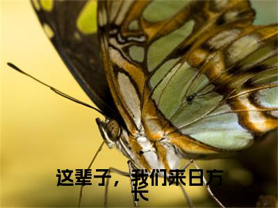这辈子，我们来日方长江海川顾慧雯彩蛋（江海川顾慧雯）全书在线下载阅读完美终章小说大结局