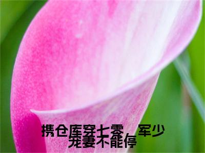 小说携仓库穿七零，军少宠妻不能停小说已更新+番外篇章（姜安安徐望京）纯净阅读