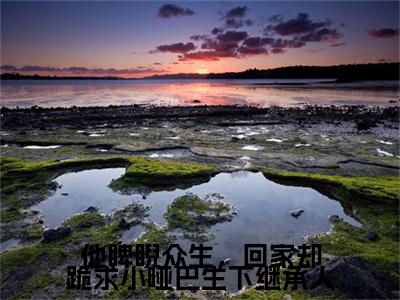 他睥睨众生，回家却跪求小哑巴生下继承人彩蛋完整在线阅读（林暮汐墨凛）最近章节列表