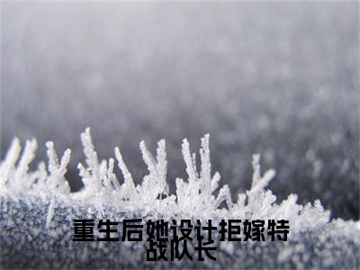 顾如锦段斐峥是什么小说(重生后她设计拒嫁特战队长)（顾如锦段斐峥）全本完整清爽版在线+无广告结局