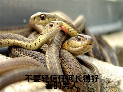 江雪妍谢季泽小说(不要轻信任何长得好看的男人)全文+后续（江雪妍谢季泽）畅享阅读