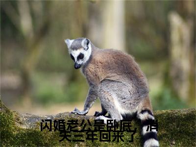 闪婚老公是卧底，消失三年回来了（洛甯陆乘渊）全文免费阅读无弹窗_（洛甯陆乘渊小说全文免费阅读）闪婚老公是卧底，消失三年回来了+后续评价五颗星