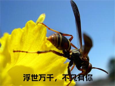 赵玥徐海波附加完整在线阅读（浮世万千，不只有你）最近更新列表