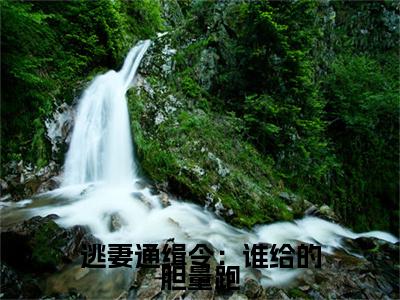 逃妻通缉令：谁给的胆量跑小说(幕欣若诸葛衍)章节目录+起点章节（逃妻通缉令：谁给的胆量跑）全篇清爽版在线