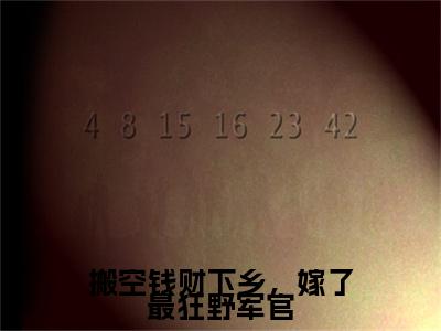 搬空钱财下乡，嫁了最狂野军官林晓晓韩秋实特别篇章节目录+章节前文（林晓晓韩秋实）TXT清爽版在线