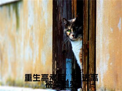重生高考后，我逃离被卖噩梦小说（林玥彤顾辰弋）起点章节+全篇阅读热门作品预订
