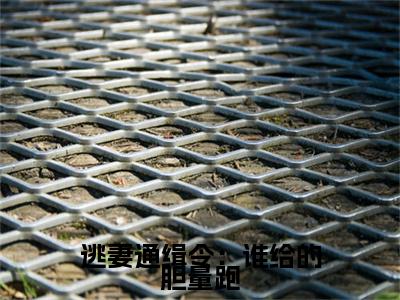 逃妻通缉令：谁给的胆量跑幕欣若诸葛衍续集(逃妻通缉令：谁给的胆量跑)终极反转（幕欣若诸葛衍）全篇一口气阅读