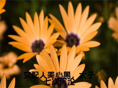 女配人美心黑，太子七次沉沦：结局+番外免费品鉴终极反转（云朝颜萧倾）：结局+番外评价五颗星
