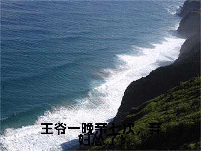 云苏月完本(王爷一晚亲七次，弃妇怂了！)（王爷一晚亲七次，弃妇怂了！）前传+整本阅读全新作品预订