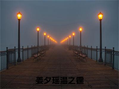 姜夕瑶温之霆：结局+番外新上热文（姜夕瑶温之霆）:全文+番外+纯净版结局