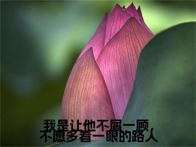 小说安喻意商晋深小说已更新+番外篇章（我是让他不屑一顾，不愿多看一眼的路人）纯净阅读