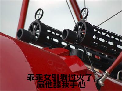 寻觅钟遇小说(乖乖女驯狗过火了，扇他舔我手心)+前传（寻觅钟遇）阅读