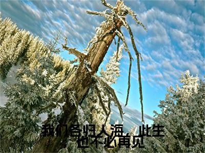 全网首发夏语栀祁墨寒：+后续+番外（我们各归人海，此生，也不必再见）全本完整阅读无弹窗