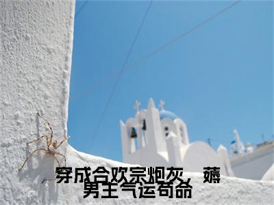 宋明棠全文免费阅读无弹窗大结局_穿成合欢宗炮灰，薅男主气运苟命最新章节列表_笔趣阁（宋明棠：完结+结局+番外）