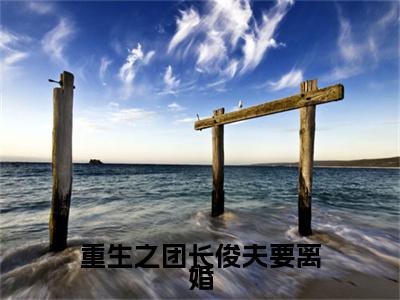 江柏俊夏清恬 小说小说全集+延伸+完本（重生之团长俊夫要离婚）畅享在线阅读