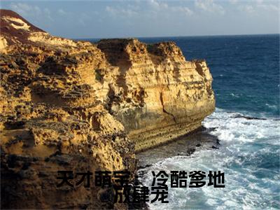 顾成柏夏钥宁小说(天才萌宝：冷酷爹地放肆宠)全文+后续（顾成柏夏钥宁）无套路阅读