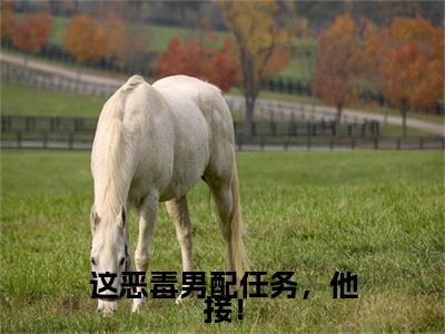 这恶毒男配任务，他接！小说完结篇(司云希温修瑾)章节前文+全篇阅读（这恶毒男配任务，他接！）最近更新