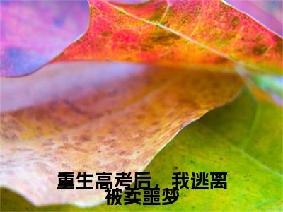 重生高考后，我逃离被卖噩梦小说(林玥彤顾辰弋)章节目录+起点章节（重生高考后，我逃离被卖噩梦）全篇清爽版在线