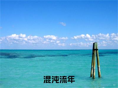 高分_孟流年周丽珍(混沌流年)（孟流年周丽珍）全本完整阅读