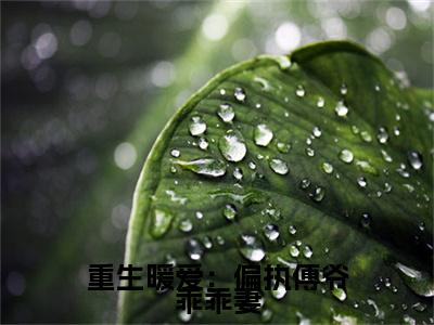 重生暖爱：偏执傅爷乖乖妻曲绾绾傅辞郁续集起点章节+全书阅读（曲绾绾傅辞郁）书荒必看