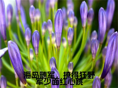 云恬陆骁川(海岛随军，撩得狂野军少面红心跳)章节目录+起点章节（云恬陆骁川）全篇清爽版在线