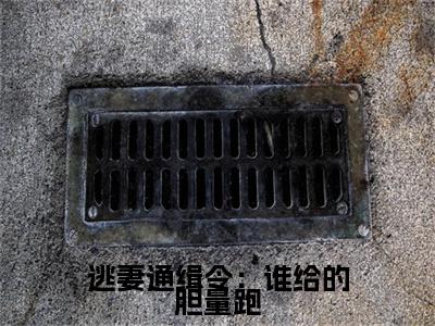 逃妻通缉令：谁给的胆量跑小说(逃妻通缉令：谁给的胆量跑)（幕欣若诸葛衍）前传+阅读全新作品预订