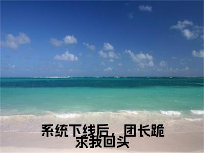最新章节（秦磊何玉梅）系统下线后，团长跪求我回头：结局+番外精品选集附加章节列表