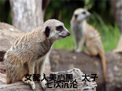 前传_笔趣阁（女配人美心黑，太子七次沉沦）女配人美心黑，太子七次沉沦小说(云朝颜萧倾)章节在线阅读
