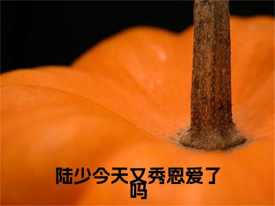 陆少今天又秀恩爱了吗小说(陆怀骁苏棠)小说全集在线下载_章节前文+后续（陆少今天又秀恩爱了吗）