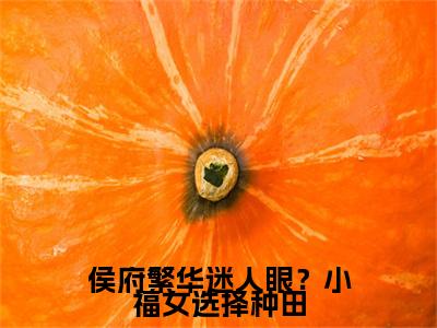 侯府繁华迷人眼？小福女选择种田崔衡尹甜甜后续(侯府繁华迷人眼？小福女选择种田)（崔衡尹甜甜）完整章节列表_笔趣阁