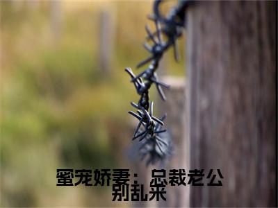 蜜宠娇妻：总裁老公别乱来小说叫什么(安昕林慕琛)小说全集阅读无广告（蜜宠娇妻：总裁老公别乱来）番外+续集