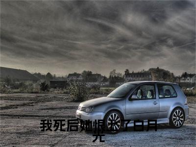 楚溪棠孟翊泽：+后续热血十足 我死后她恨上了白月光：结局+番外评价五颗星