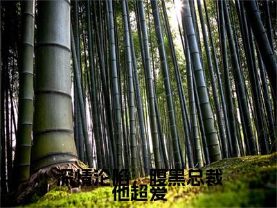 深情沦陷，腹黑总裁他超爱电子书+番外篇章+（林书晚傅砚辞）免费版在线阅读