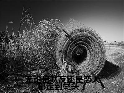无论是队友还是恋人都走到尽头了全文最新章节（许时延李诗允）全文免费阅读无弹窗大结局_许时延李诗允免费阅读