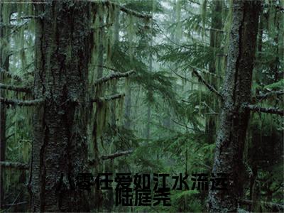 终章小说八零任爱如江水流远陆庭尧小说(八零任爱如江水流远陆庭尧)已更新+番外篇章（季婉灵陆庭尧）无广告
