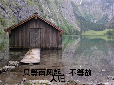 叶竹君陆时琛小说(只等南风起，不等故人归)全文+后续（叶竹君陆时琛）畅享阅读