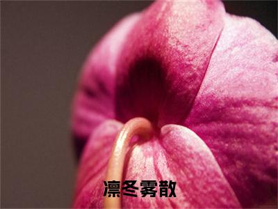凛冬雾散(叶棠棠谢宴沉)全本完整阅读最新章节 凛冬雾散：结局+番外评价五颗星