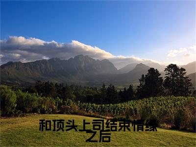 （头条）许清和陆时衍小说(和顶头上司结束情缘之后)整本免费版阅读无广告（许清和陆时衍）
