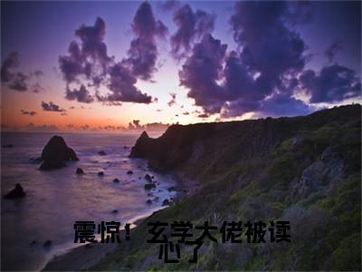 小说夏晚歌陆秋震惊！玄学大佬被读心了(夏晚歌陆秋)已更新+无删减（震惊！玄学大佬被读心了）