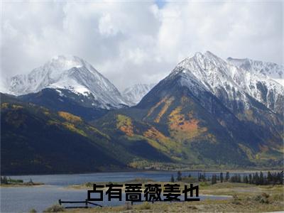占有蔷薇姜也：结局+番外免费品鉴终极反转（沈京肆姜也）：结局+番外评价五颗星